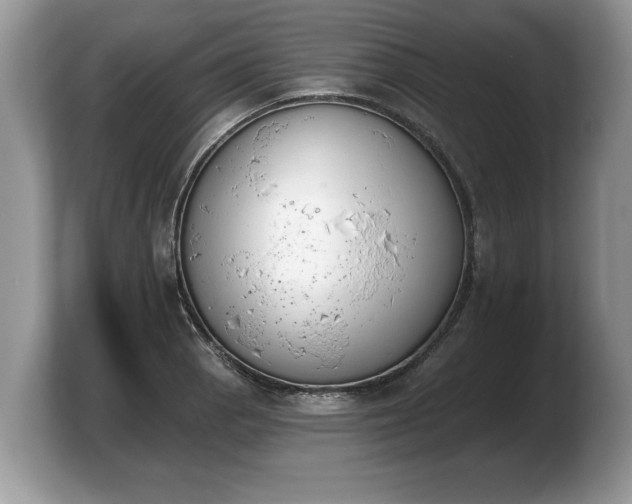 X0000103911129200809261604