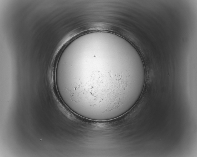 X0000103911130200809261604