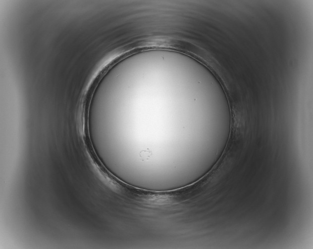 X0000103911131200809261604