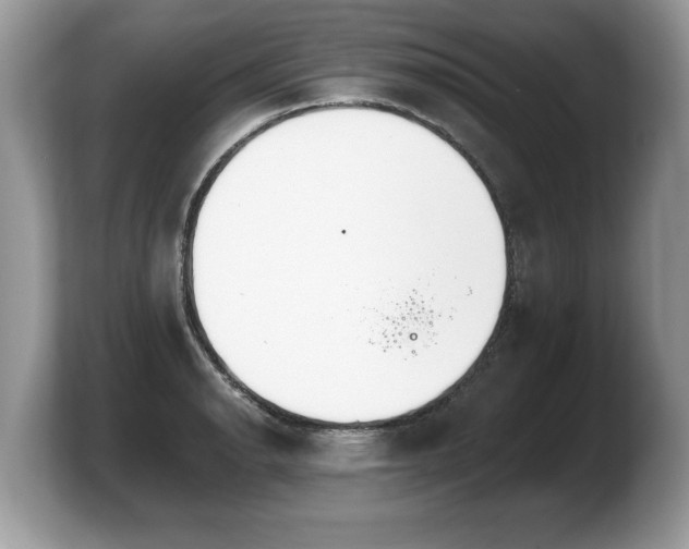X0000103911134200809261604