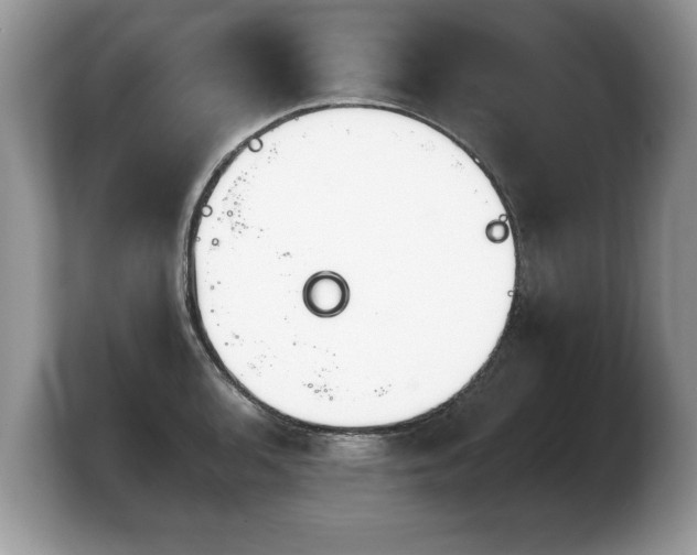 X0000103911136200809261604