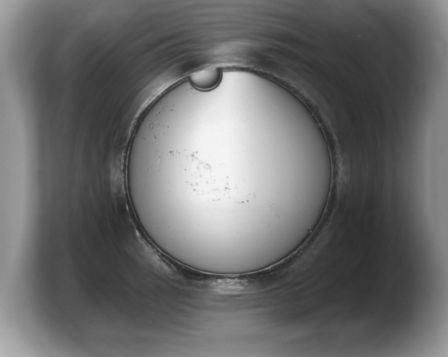 X0000103911137200809261604