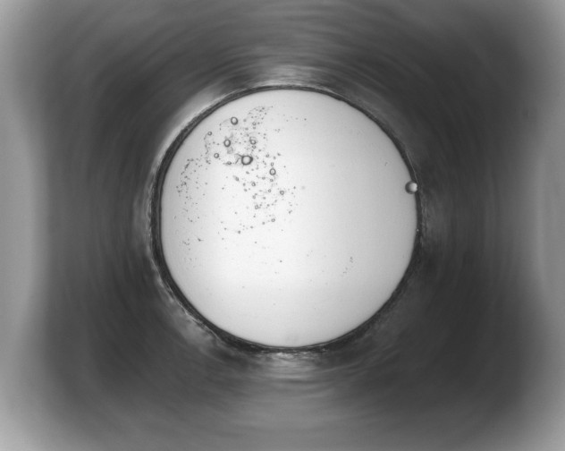 X0000103911138200809261604