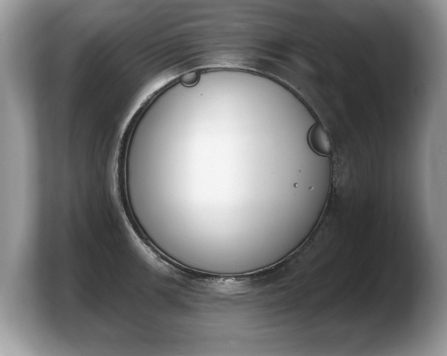 X0000103911139200809261604