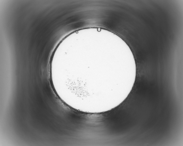 X0000103911140200809261604