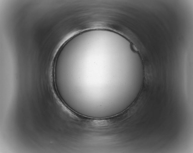 X0000103911142200809261604