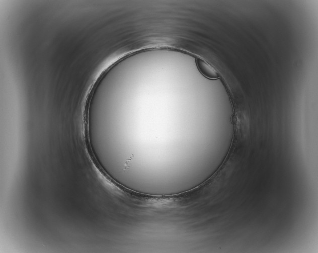 X0000103911143200809261604