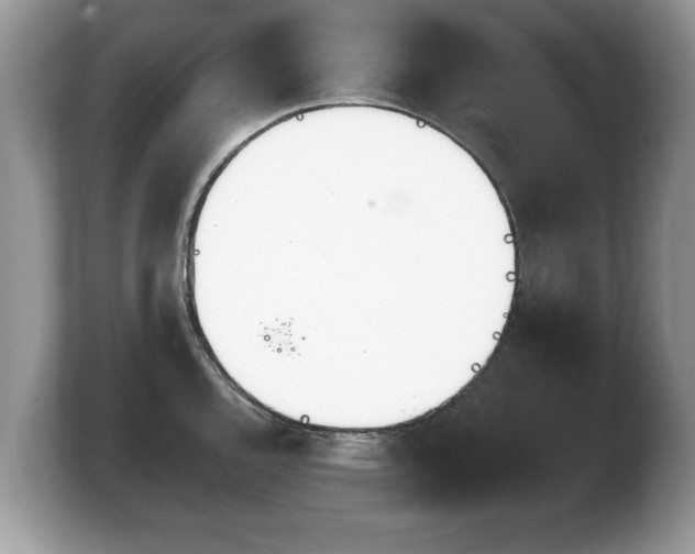 X0000103911144200809261604
