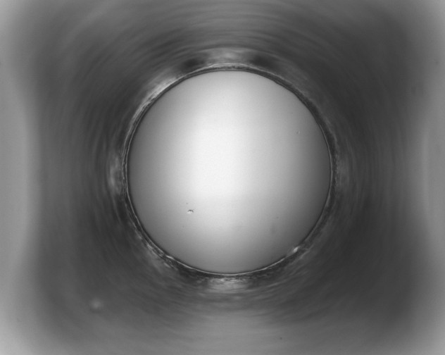 X0000103911145200809261604