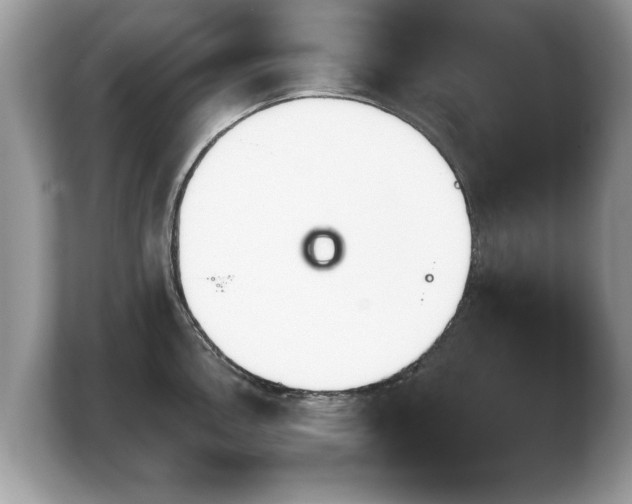 X0000103911146200809261604