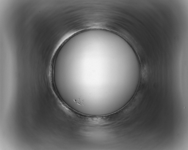 X0000103911149200809261605