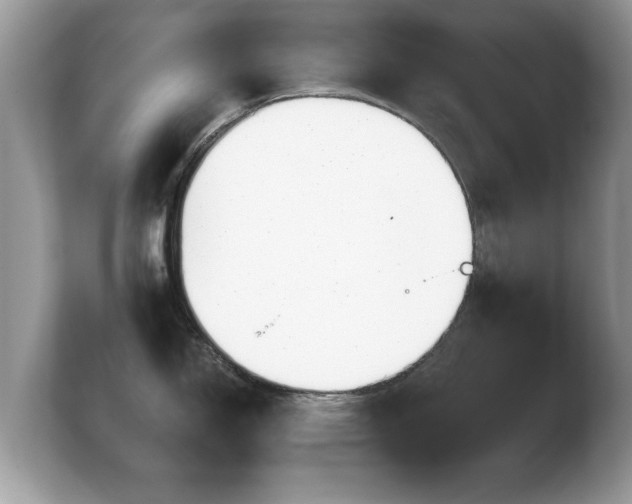 X0000103911150200809261605