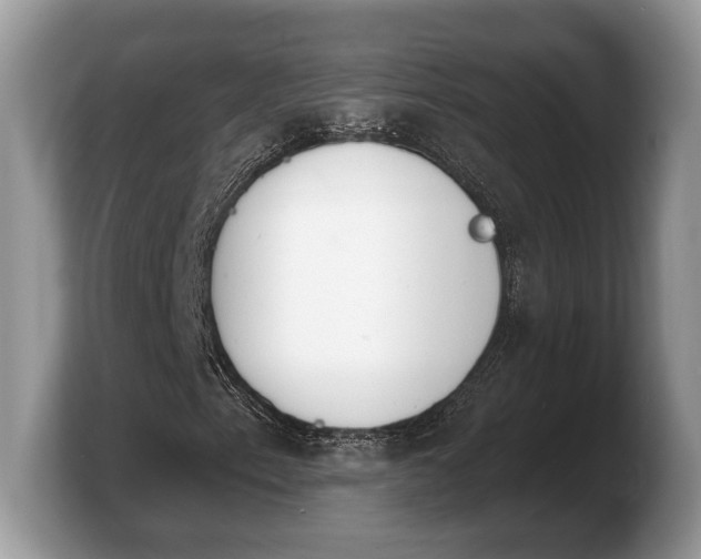 X0000103911153200809261604