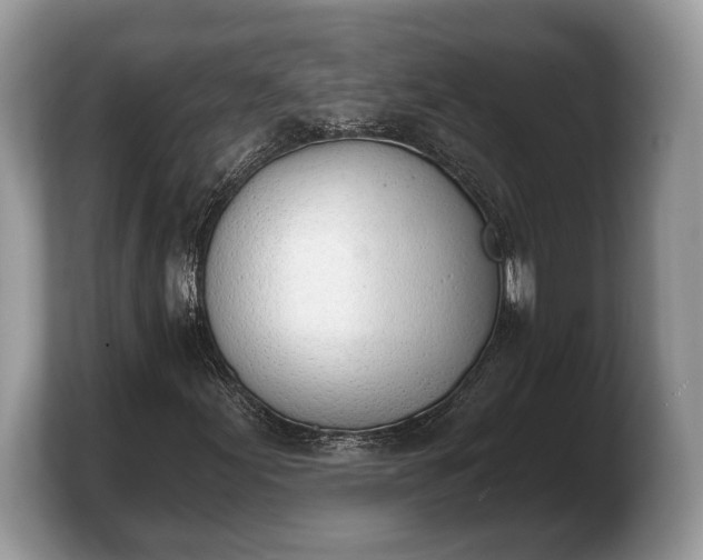 X0000103911155200809261604