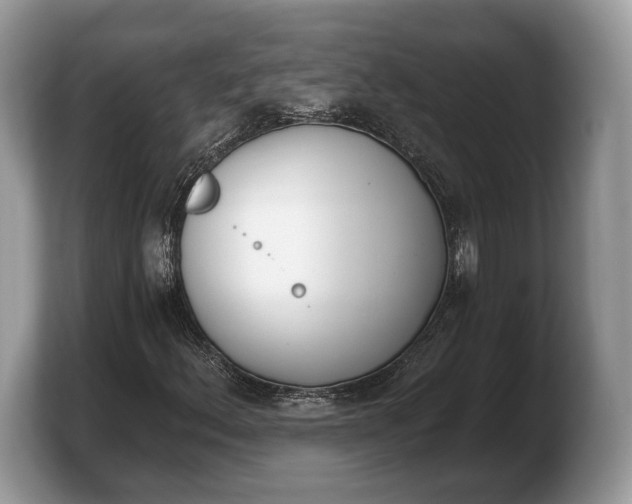 X0000103911156200809261604