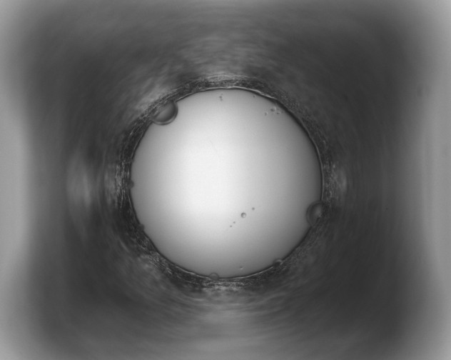 X0000103911157200809261604