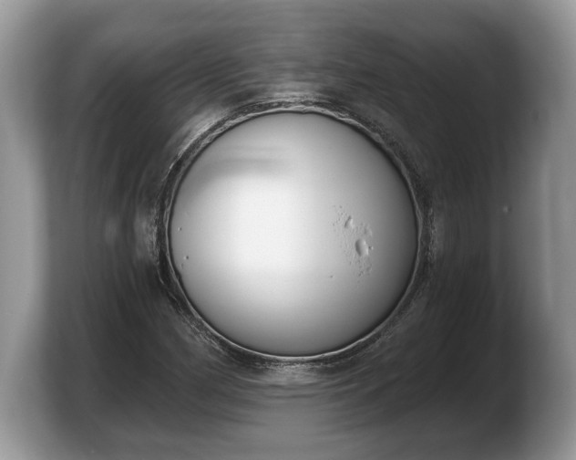 X0000103911162200809261604