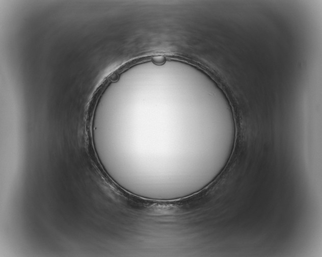 X0000103911168200809261604