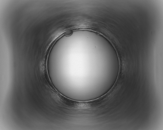 X0000103911170200809261604