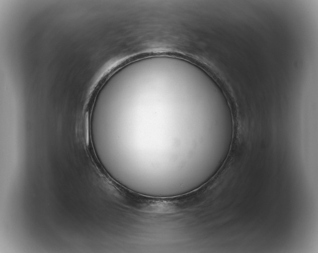 X0000103911175200809261604