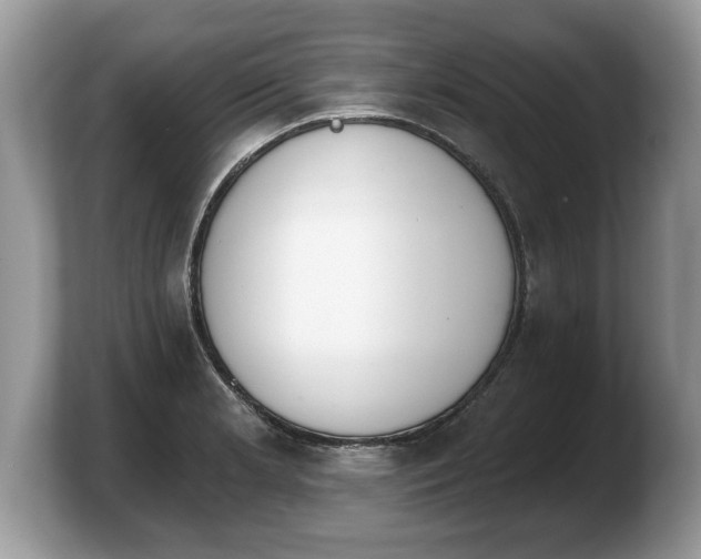 X0000103911181200809261604