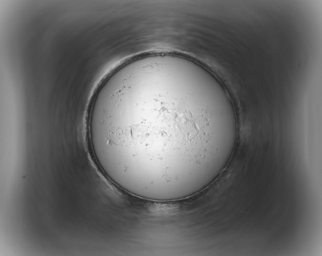 X0000103911183200809261604