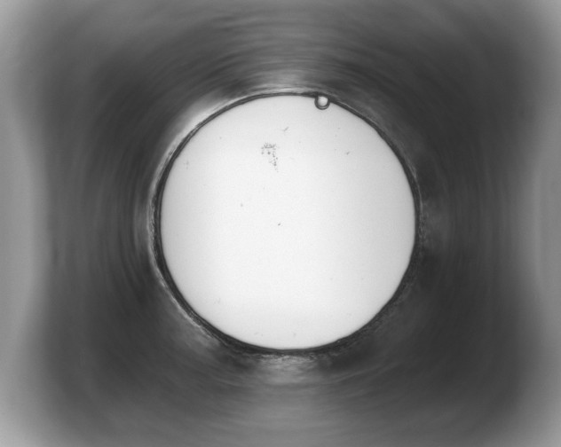 X0000103911187200809261603