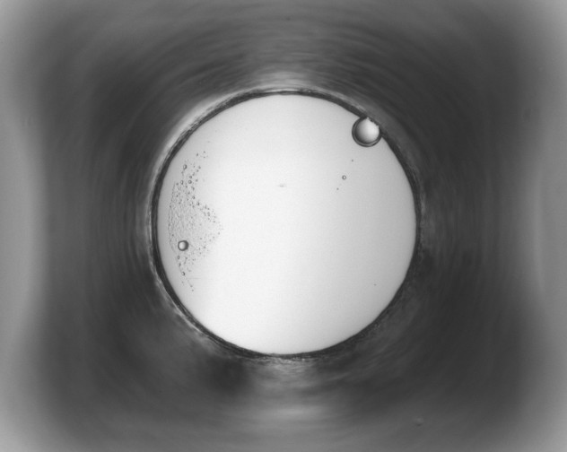 X0000103911191200809261603