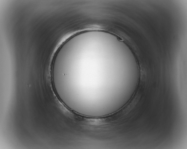 X0000103911192200809261603