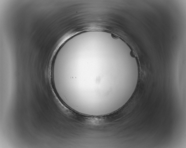 X0000103911195200809261603