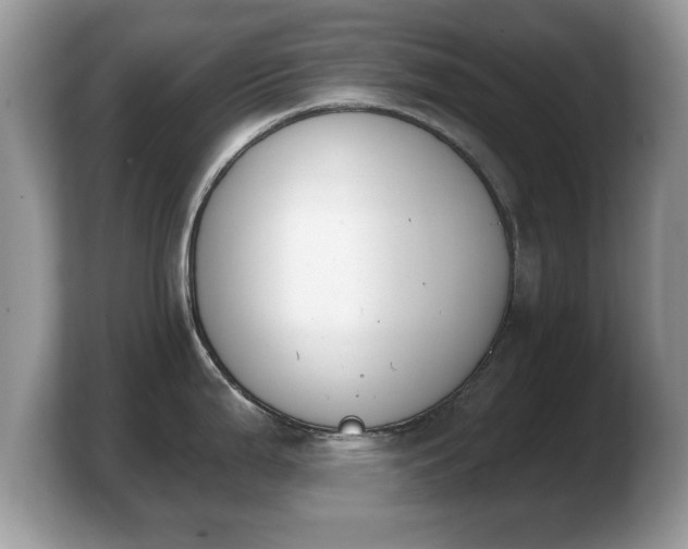 X0000103911199200809261603