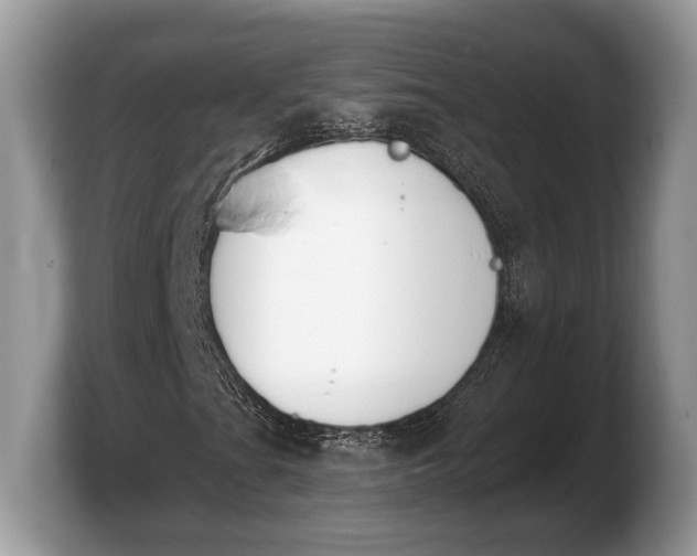 X0000103911201200809261603
