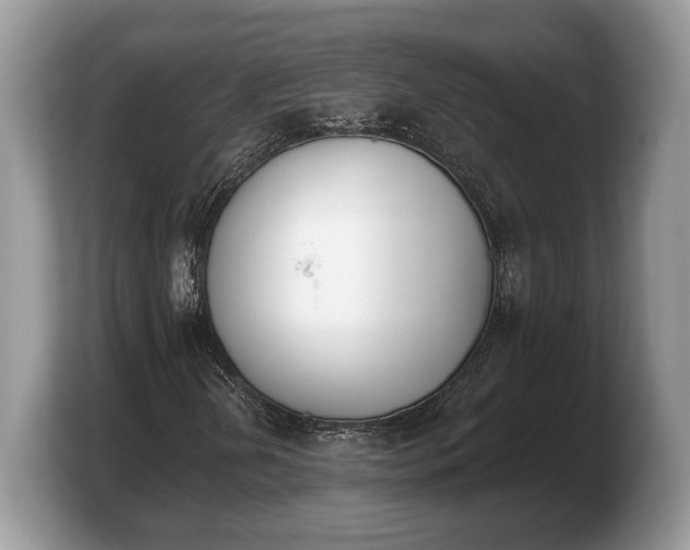 X0000103911202200809261603