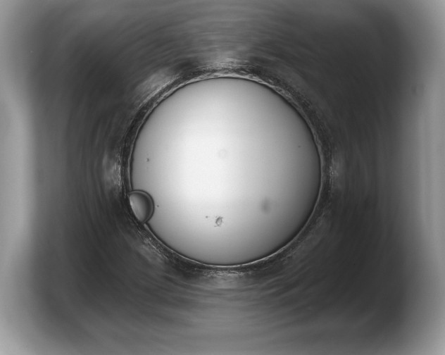 X0000103911209200809261603
