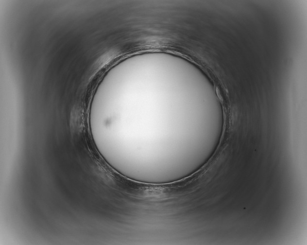 X0000103911211200809261603