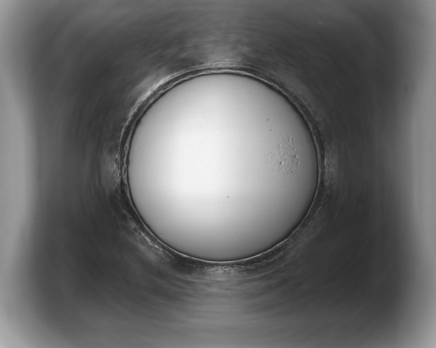 X0000103911212200809261603
