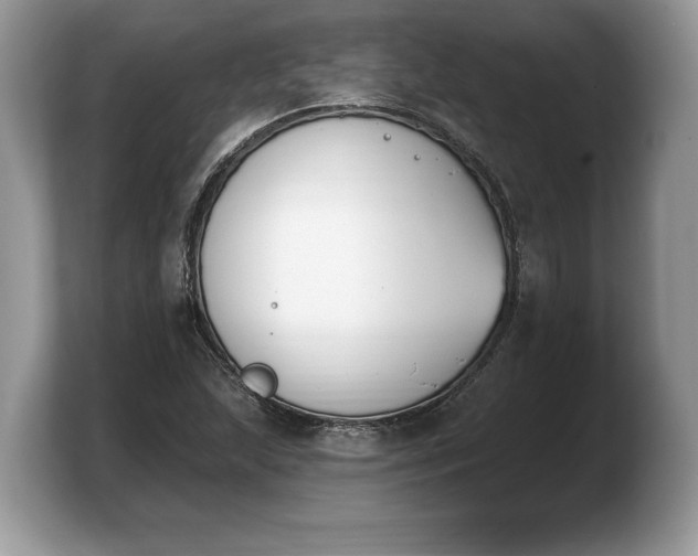 X0000103911215200809261603