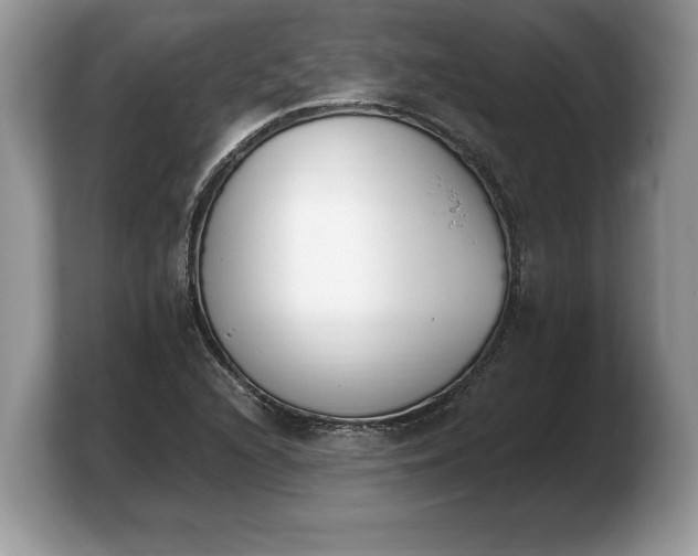 X0000103911216200809261603