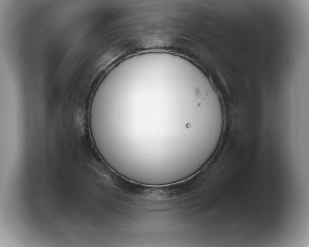 X0000103911217200809261603