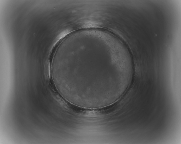 X0000103911219200809261603