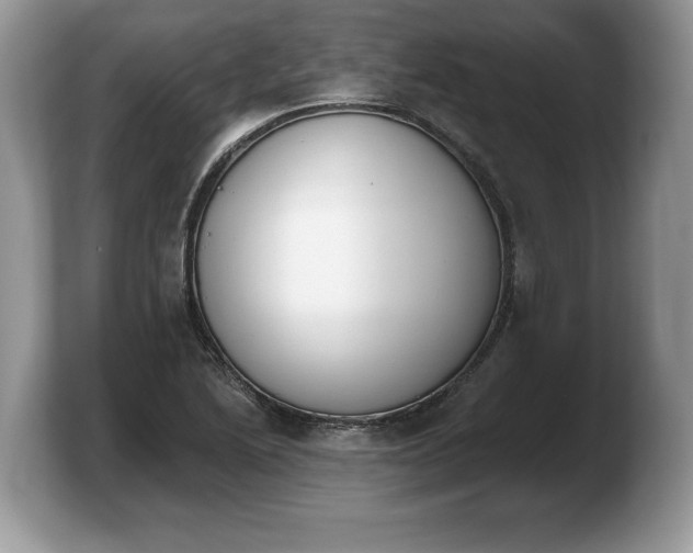 X0000103911222200809261603