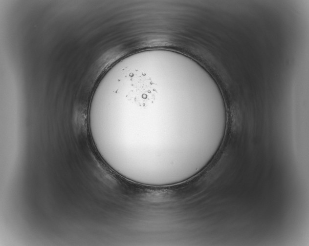 X0000103911225200809261603