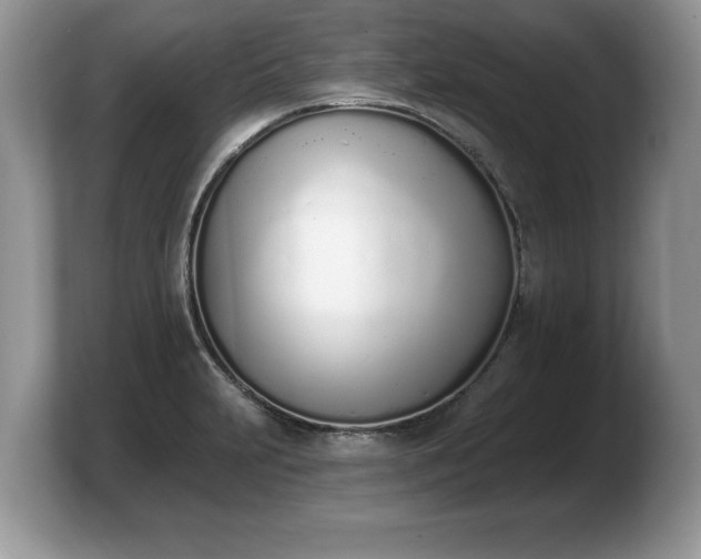 X0000103911231200809261603
