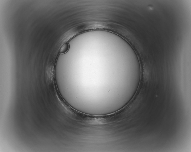 X0000103911233200809261603