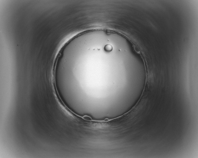 X0000103911239200809261603