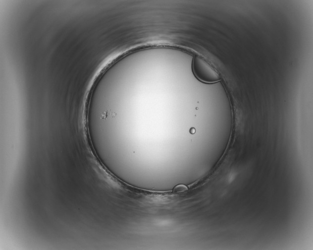 X0000103911240200809261603