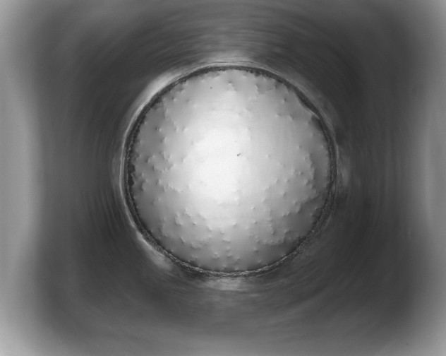 X0000103911245200809261603