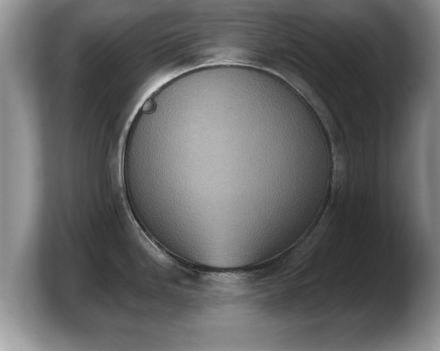 X0000103911246200809261603