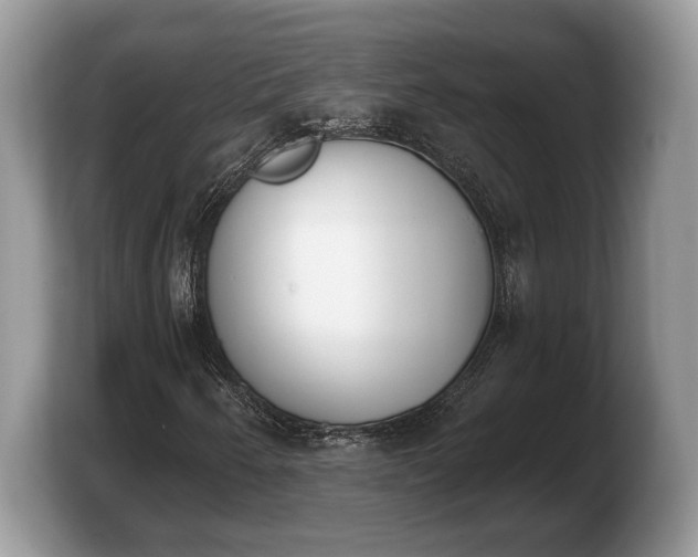 X0000103911250200809261603