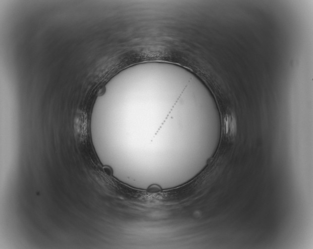 X0000103911251200809261603